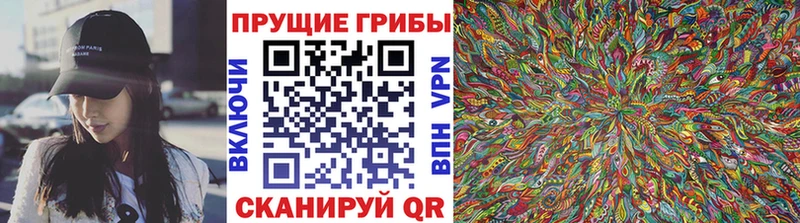 Галлюциногенные грибы мицелий  мориарти официальный сайт  Сибай  купить  сайты 